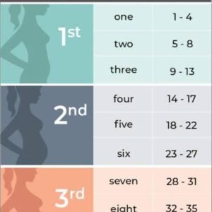 pregnancy calculator